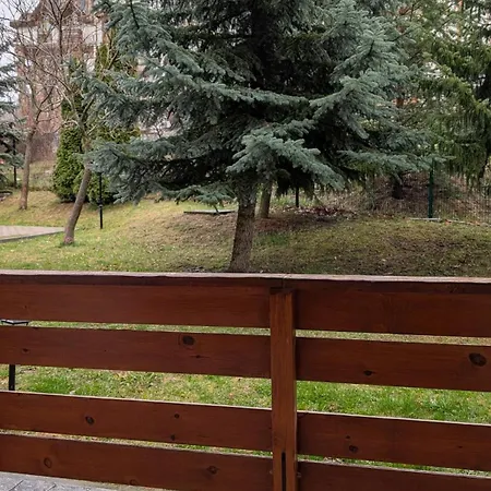 Cozy Mountain View In Apartment *